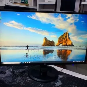 HP Monitor