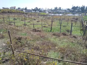 Land for Residential