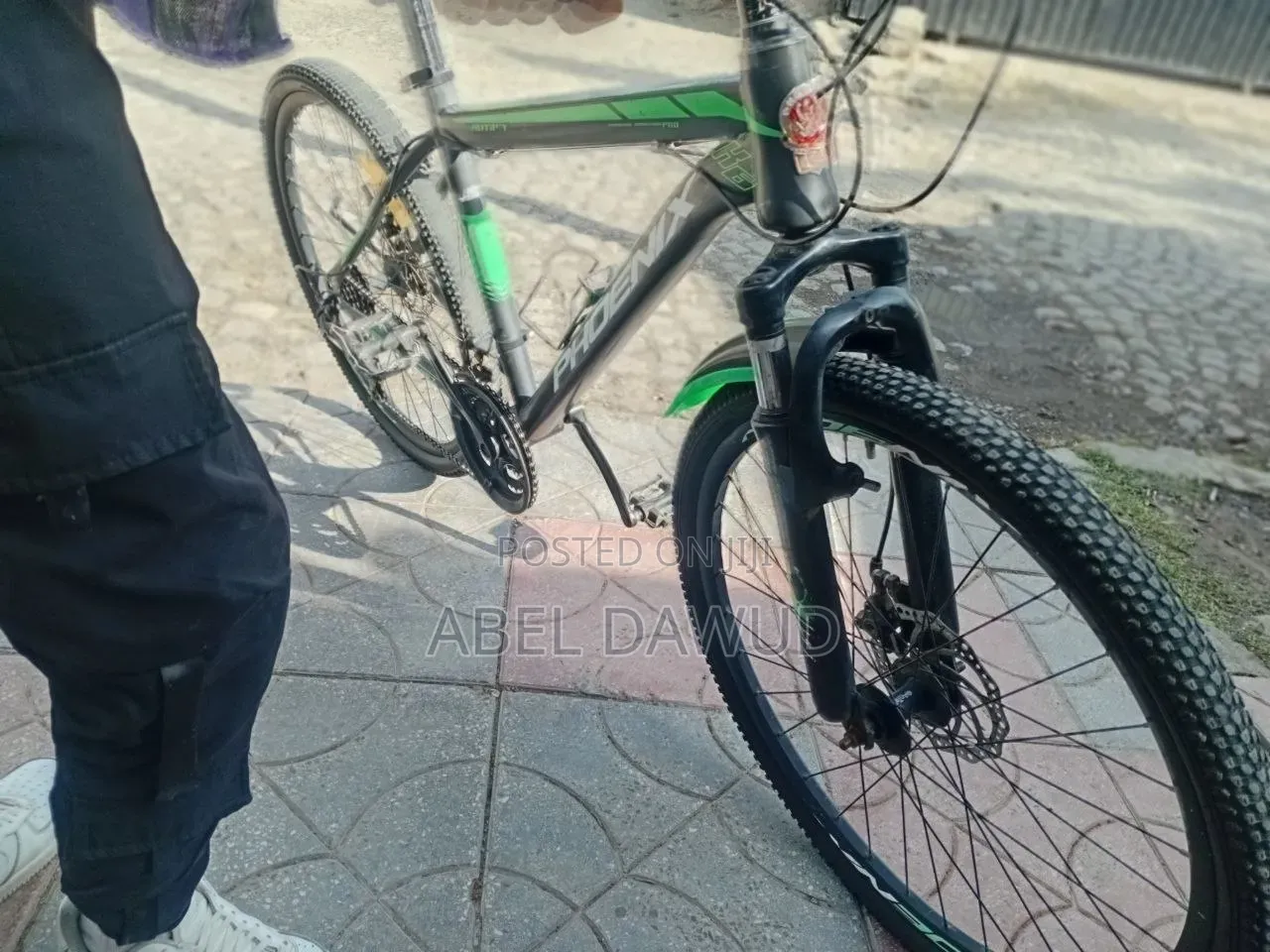 Bicycle Phonix