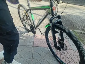 Bicycle Phonix
