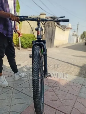 Bicycle Phonix