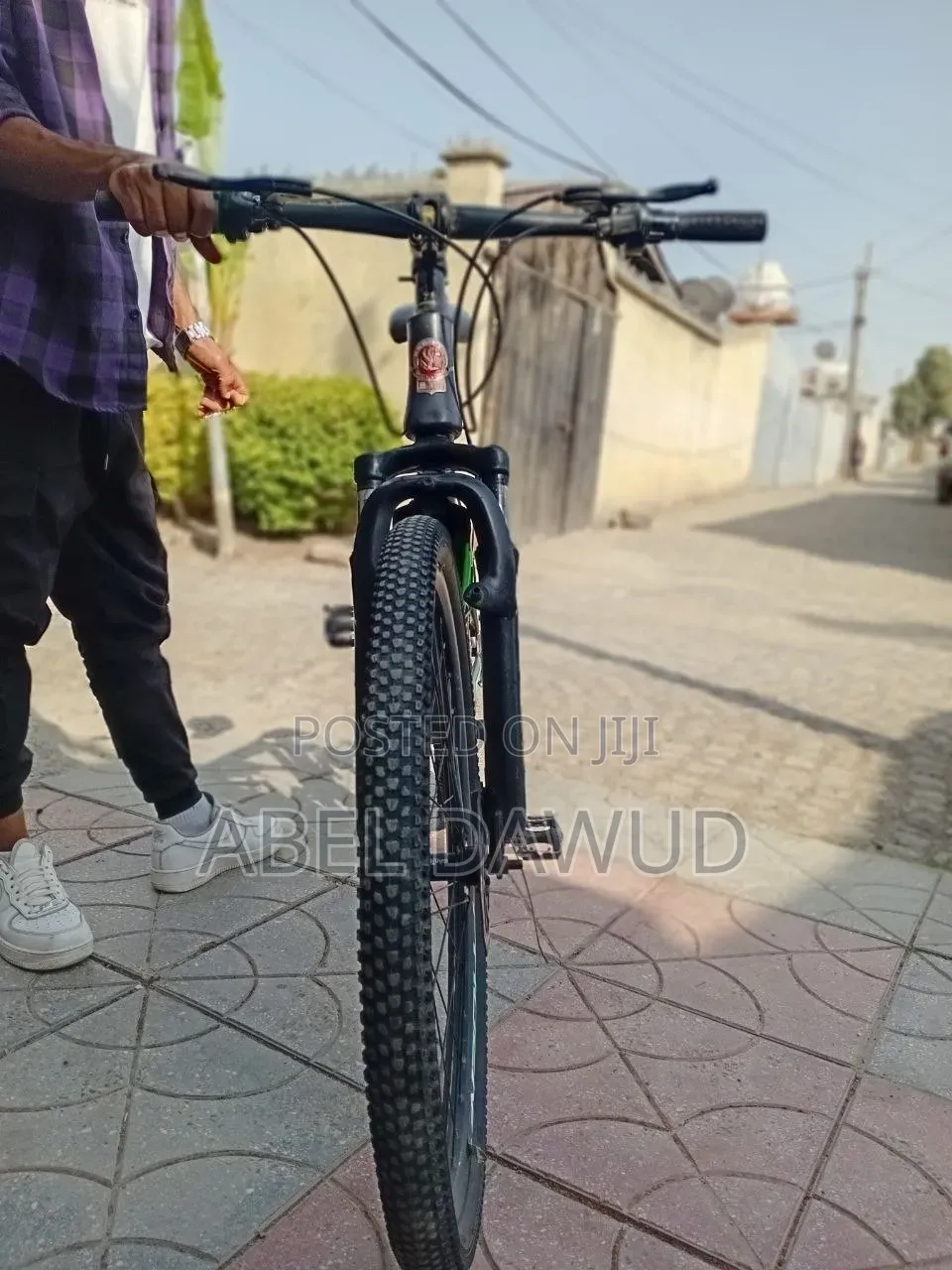 Bicycle Phonix