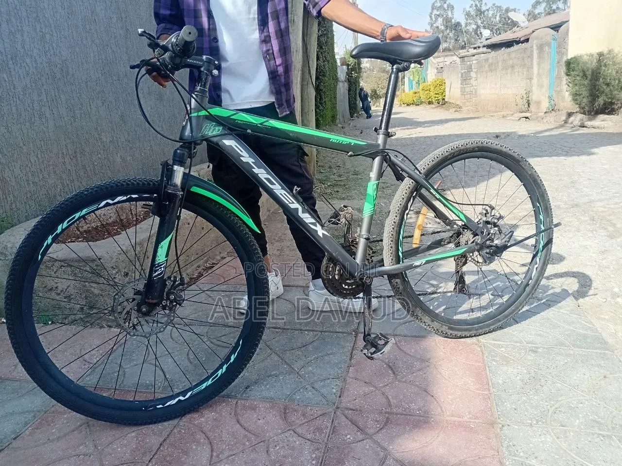 Bicycle Phonix