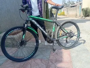 Bicycle Phonix