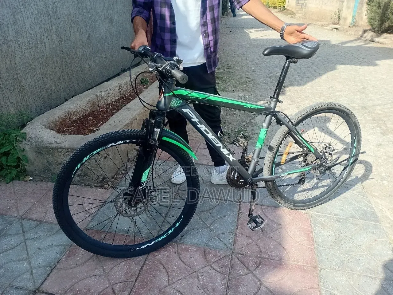Bicycle Phonix