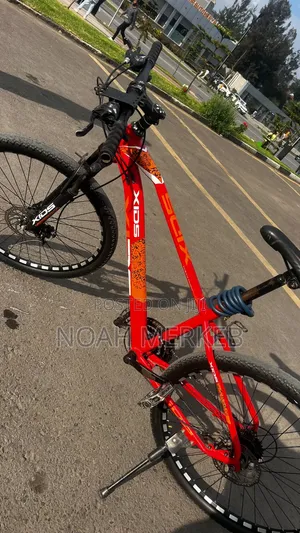 Aluminum Bike Xids