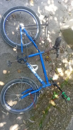 Good Bicycle