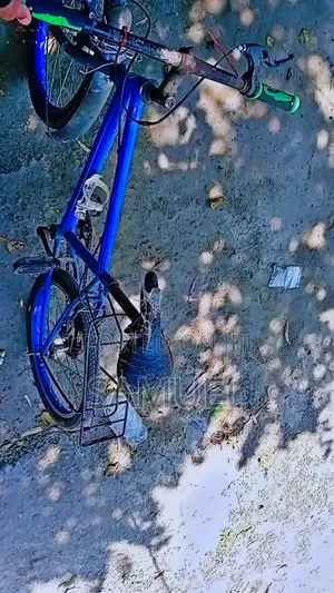 Good Bicycle