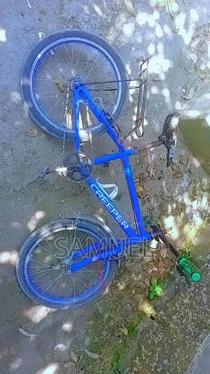 Good Bicycle
