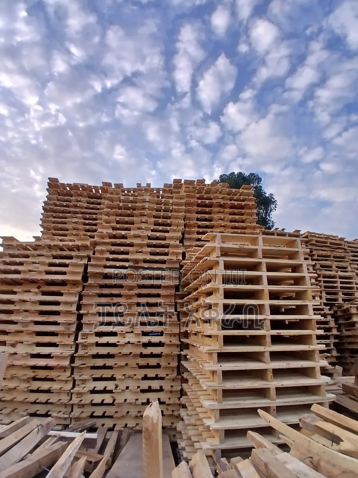 Pillet Pillet Wood