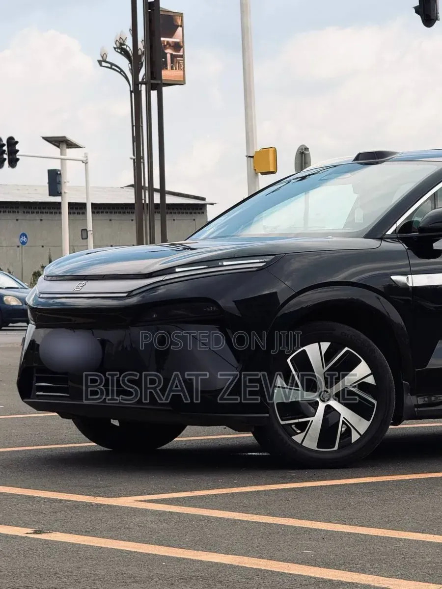 BYD Tang EV 2025 Black