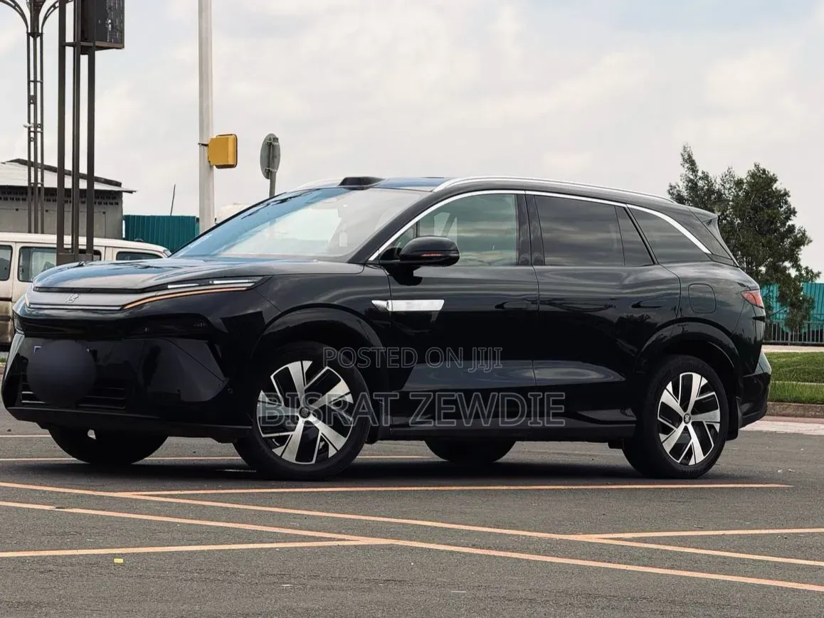 BYD Tang EV 2025 Black