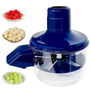 Vegetables Peeler