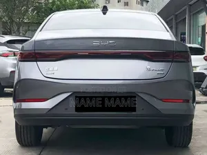 New BYD Qin Plus DM-i 2025 Gray