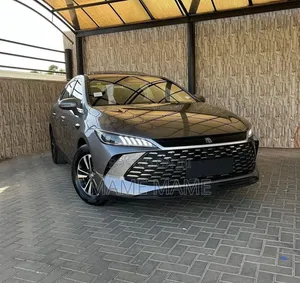 New BYD Qin Plus DM-i 2025 Gray