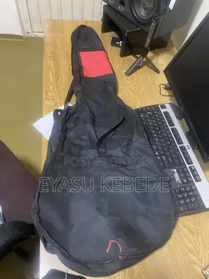 Guitar Bag