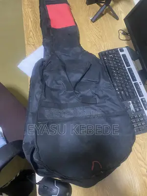 Guitar Bag