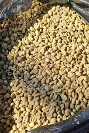 Fresh Jimma and Yergaceefe Coffee