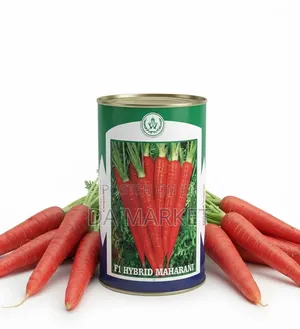 Maharani F1 Hybrid Carrot Seeds