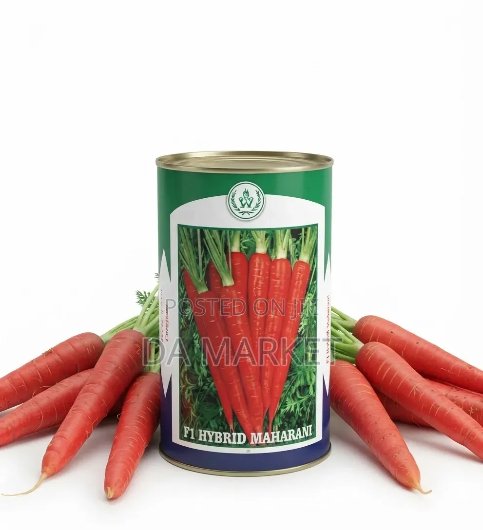 Maharani F1 Hybrid Carrot Seeds