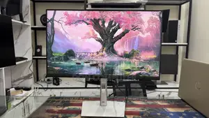 Dell 24 Inch Full HD Screen