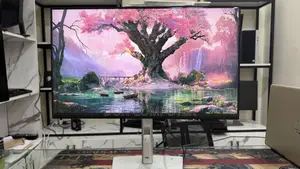 Dell 24 Inch Full HD Screen
