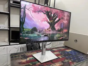Dell 24 Inch Full HD Screen