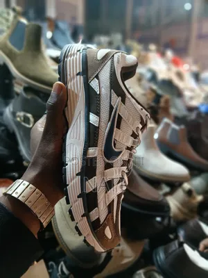 Nike P-6000 (Brownwhite/Royal Blue/ Metallic Silver / White / Burgundy