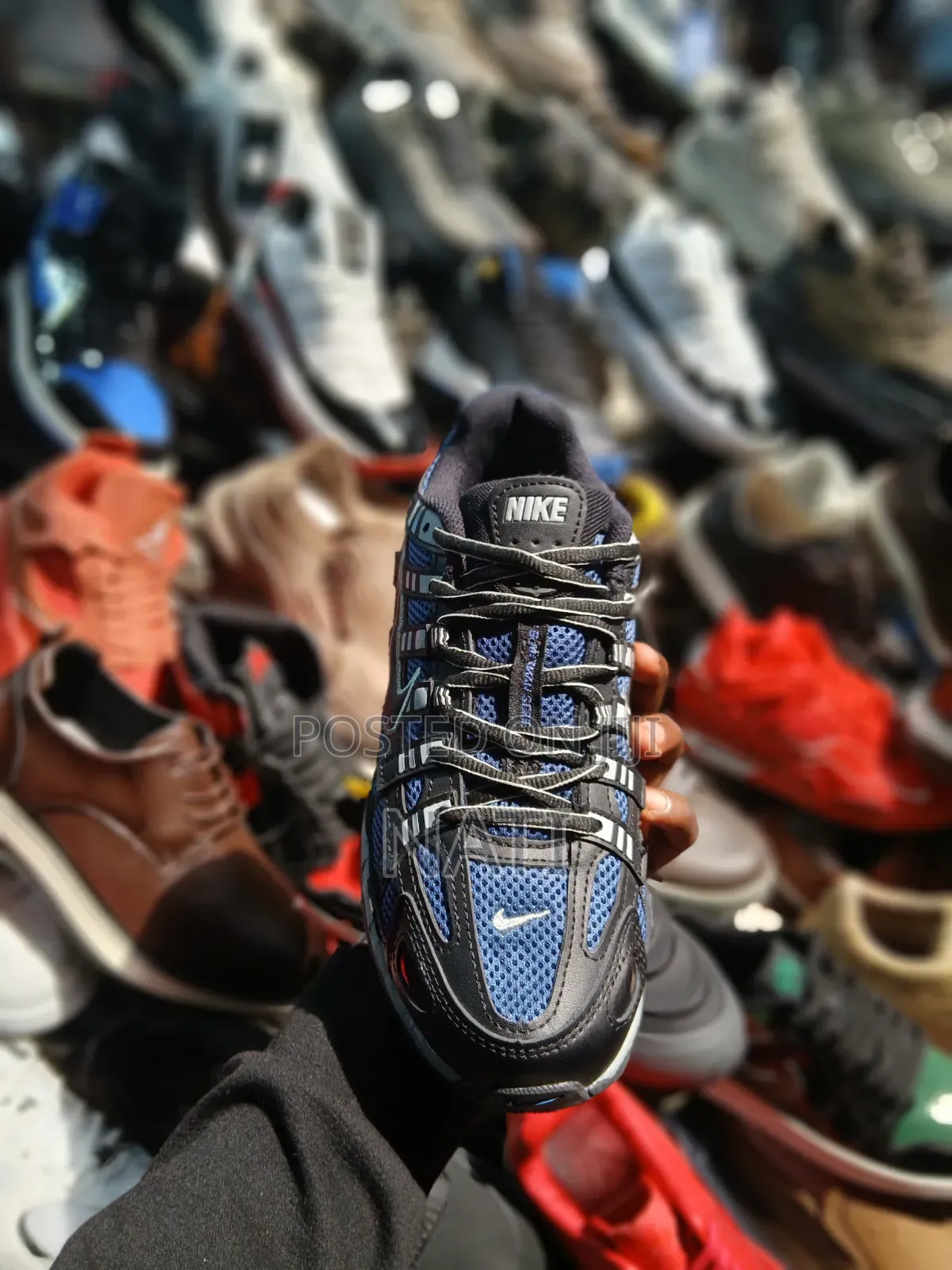 Nike P-6000 (Brownwhite/Royal Blue/ Metallic Silver / White / Burgundy