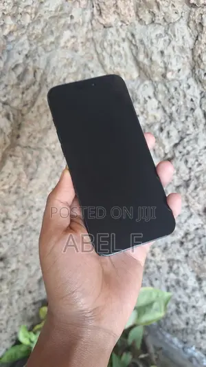 Apple iPhone 16 Pro Max 256 GB Black