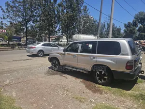 Toyota Land Cruiser 2004 Silver
