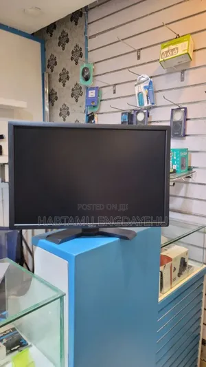 Dell 24 Inch Monitor