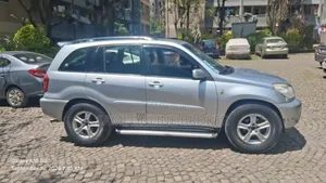 Toyota RAV4 2004 Gray