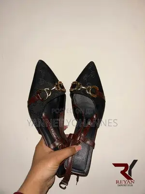 SHEIN Elegant Women’s Pointed-Toe Flats – Black & Brown Strap Design