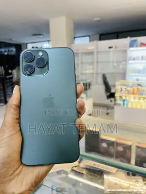 Apple iPhone 13 Pro Max 256 GB