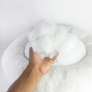 Comfortable White Hairy Goofy Cat Bed