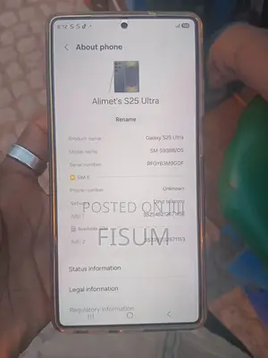 Samsung Galaxy S25 Ultra 256 GB Gray