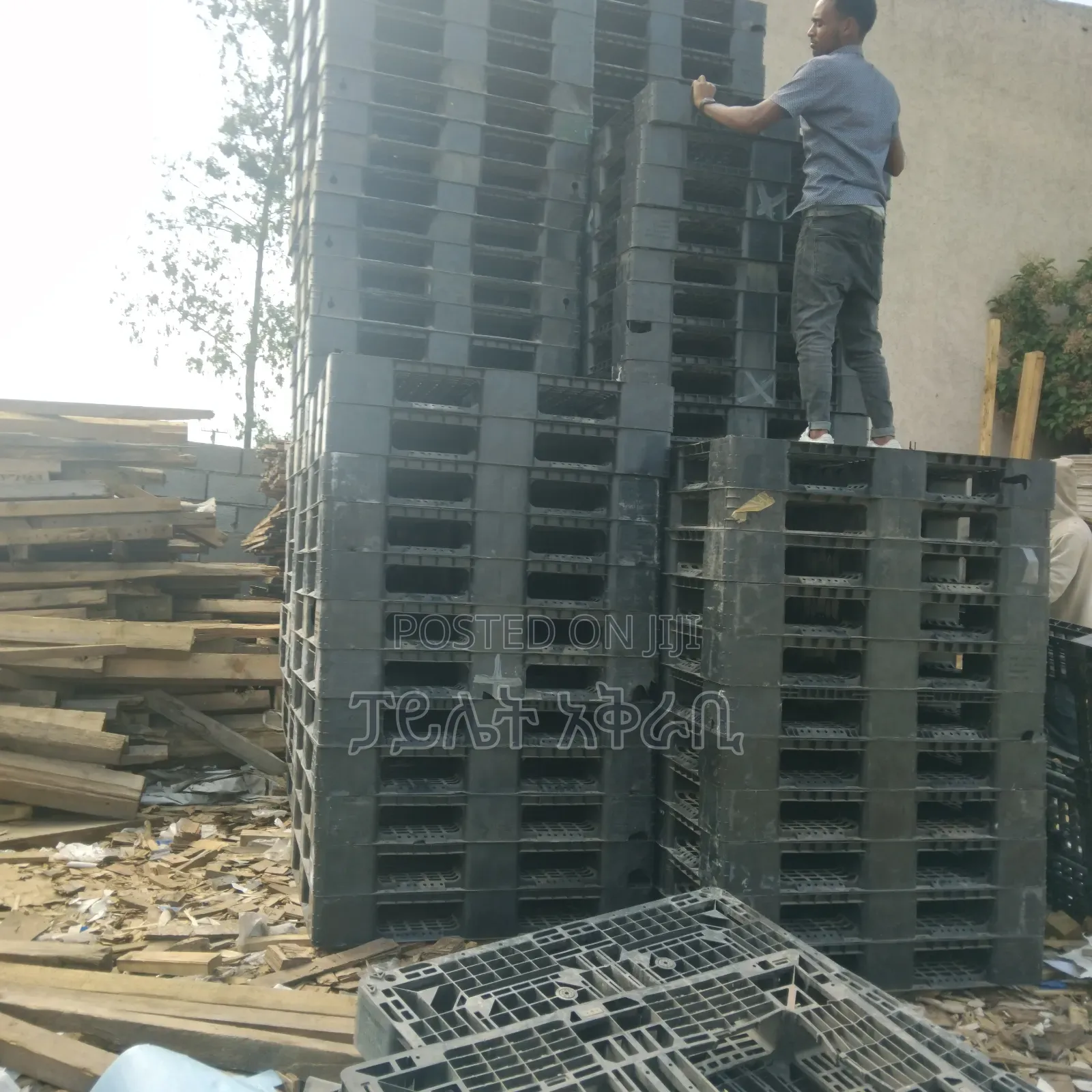 Pillet Sels