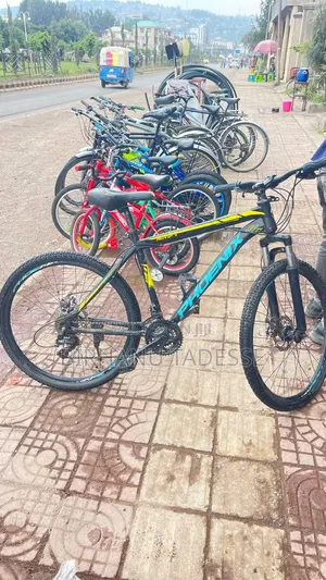 Phoenix Bike