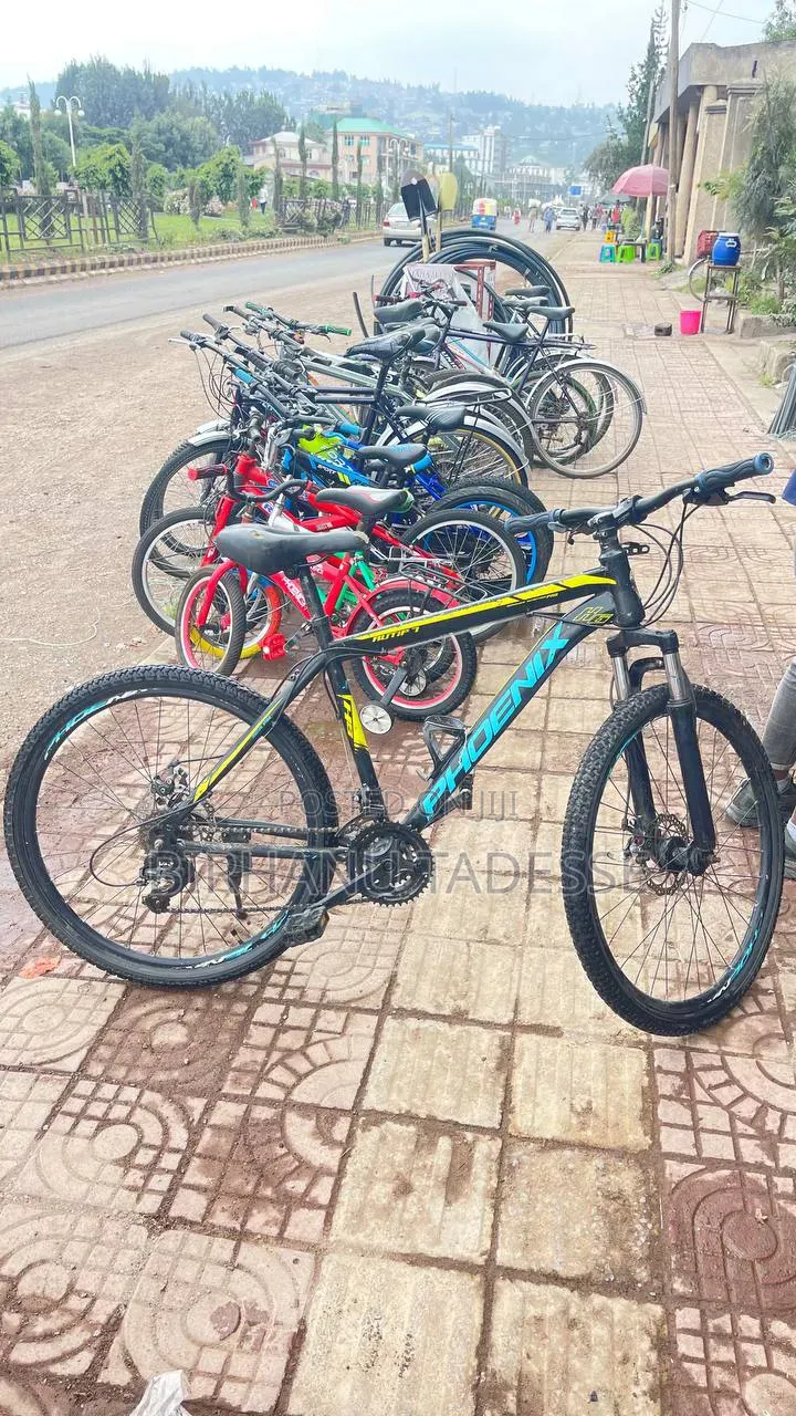 Phoenix Bike