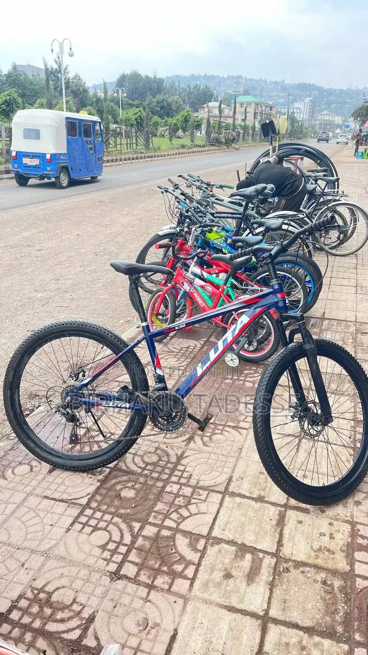 Luta Bike 26 Inch