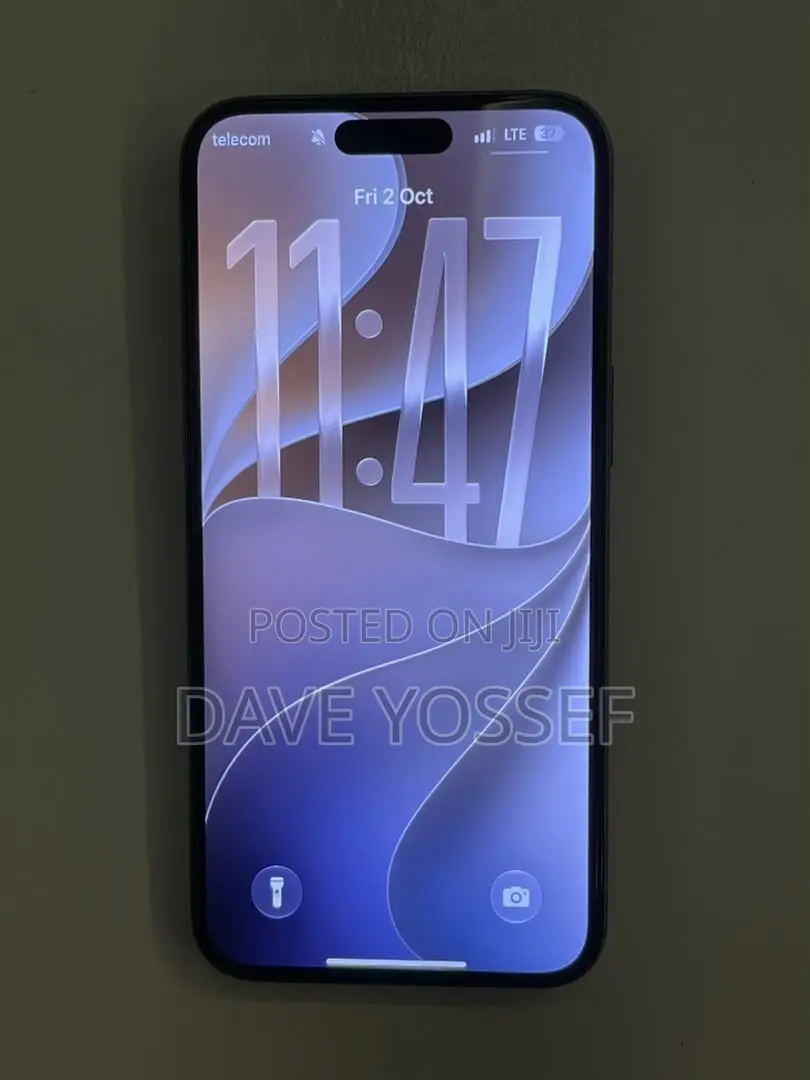 Apple iPhone 15 Pro Max 256 GB Silver