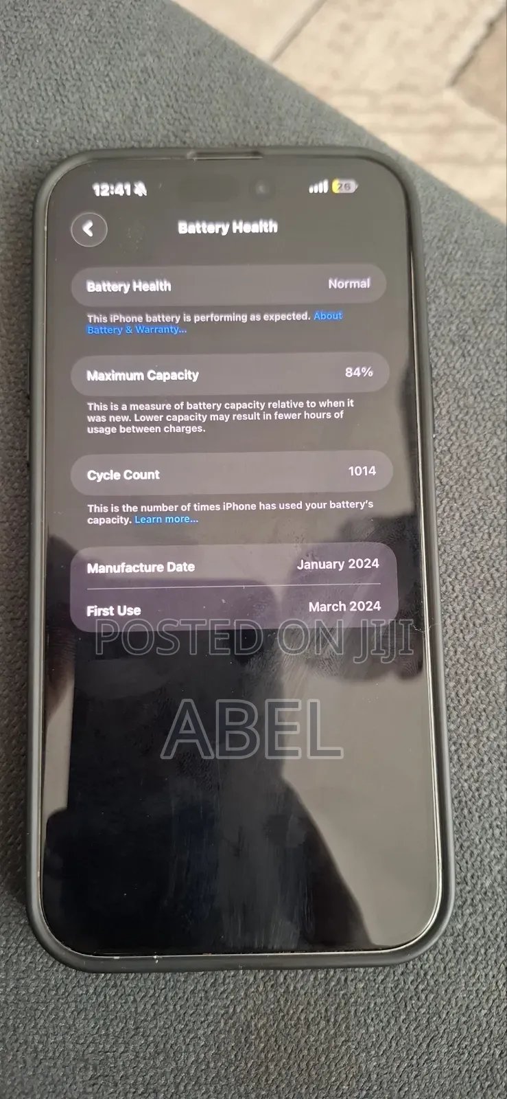 Apple iPhone 15 Pro Max 256 GB Gray