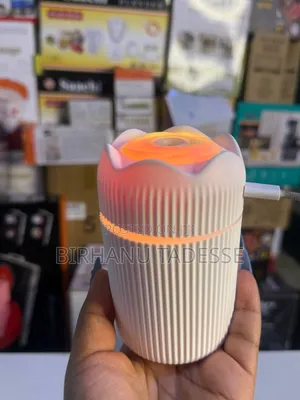 Avocado Humidifier የቤቶን መአዛ የሚቀይሩበት