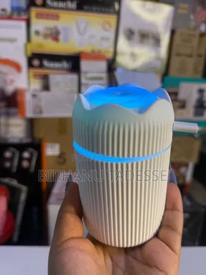 Avocado Humidifier የቤቶን መአዛ የሚቀይሩበት