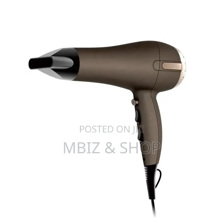 Original Hair Dryer 2400W
