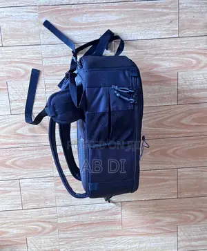 Lowepro Classic BP 300AW It Is a Specialized, High-Capacity Camera