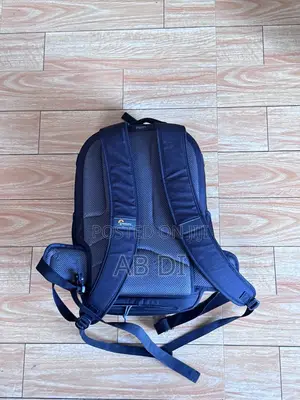 Lowepro Classic BP 300AW It Is a Specialized, High-Capacity Camera