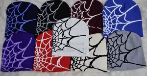 Grvty Vision Beanies