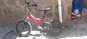 Bicycle for Kids